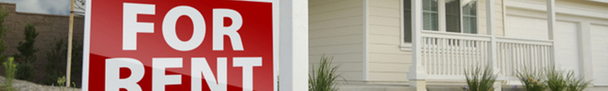 Getting to Grips With the Rental Market